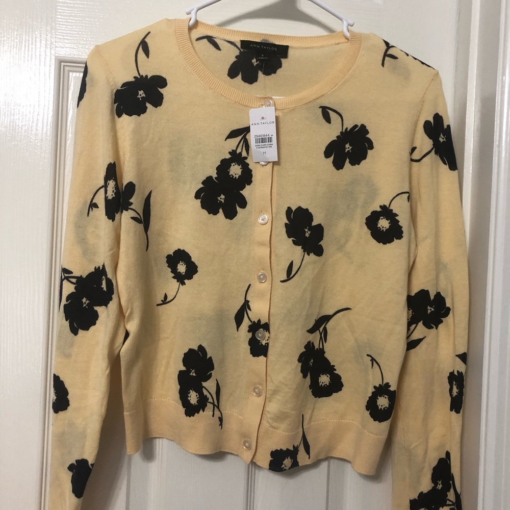 Ann Taylor sweater